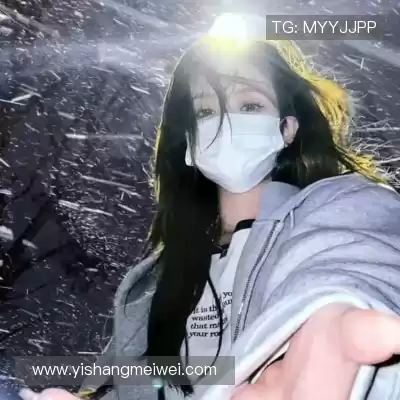 何鹰辉